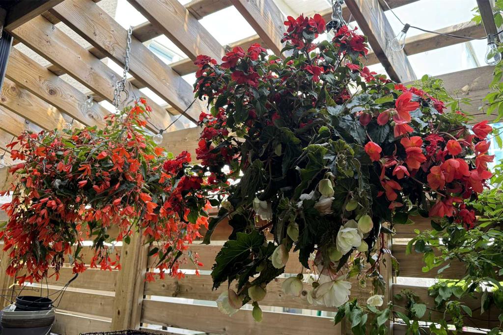 290 Tuscany Ridge Park NW