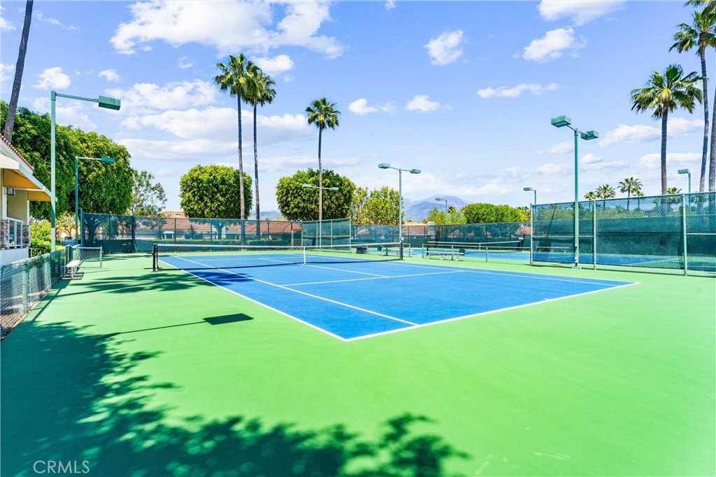 21618 Paseo Palmetto