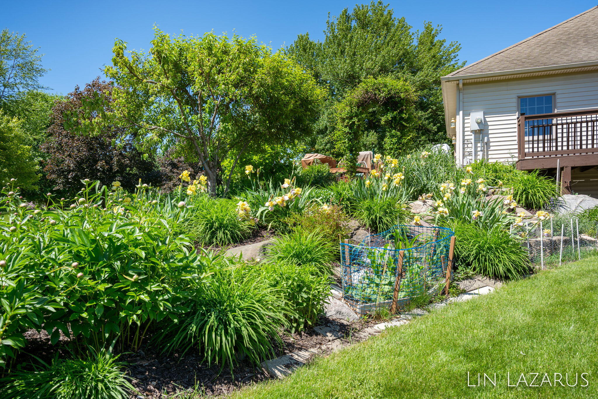 358 White Stag Court