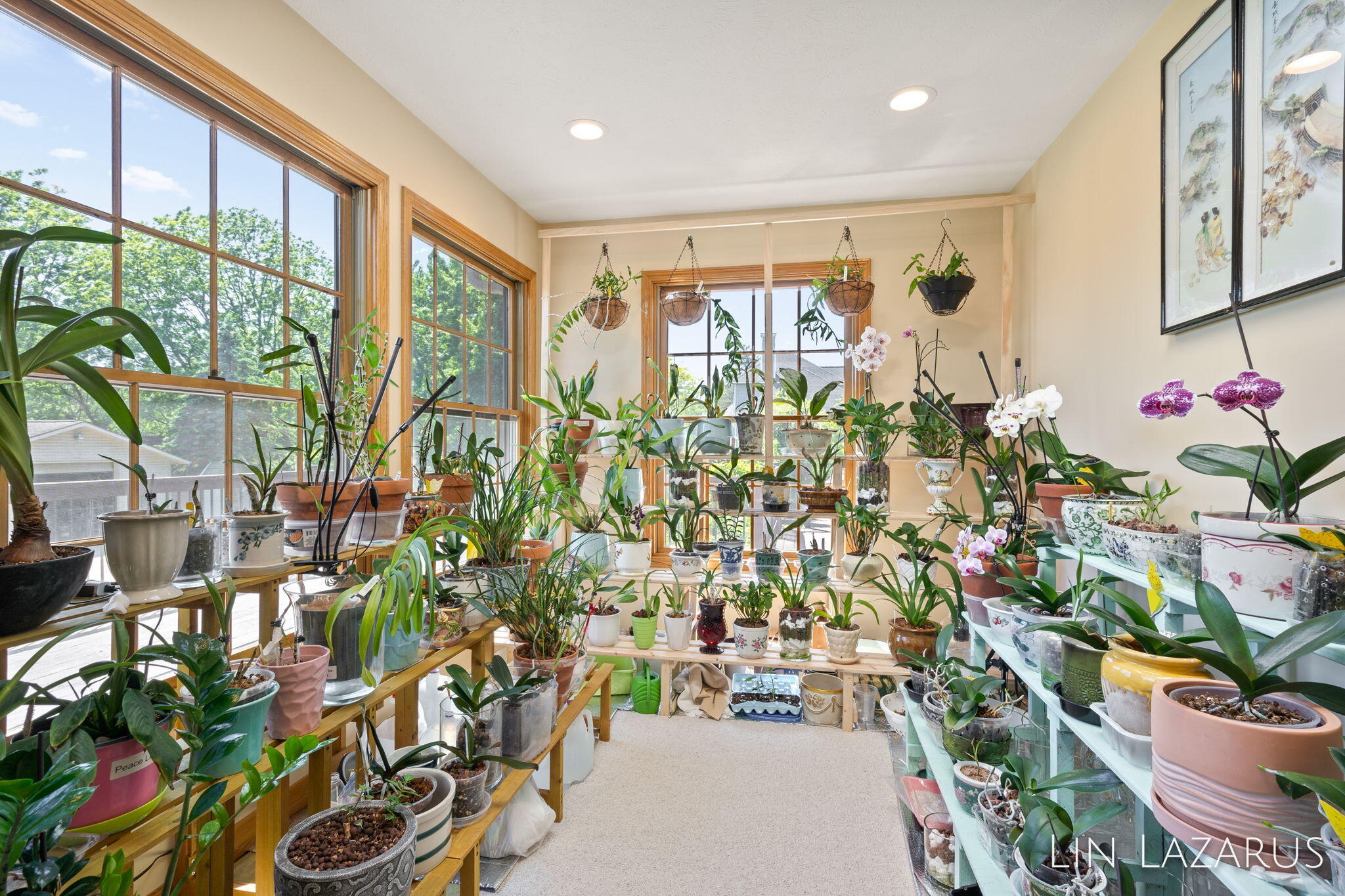 358 White Stag Court