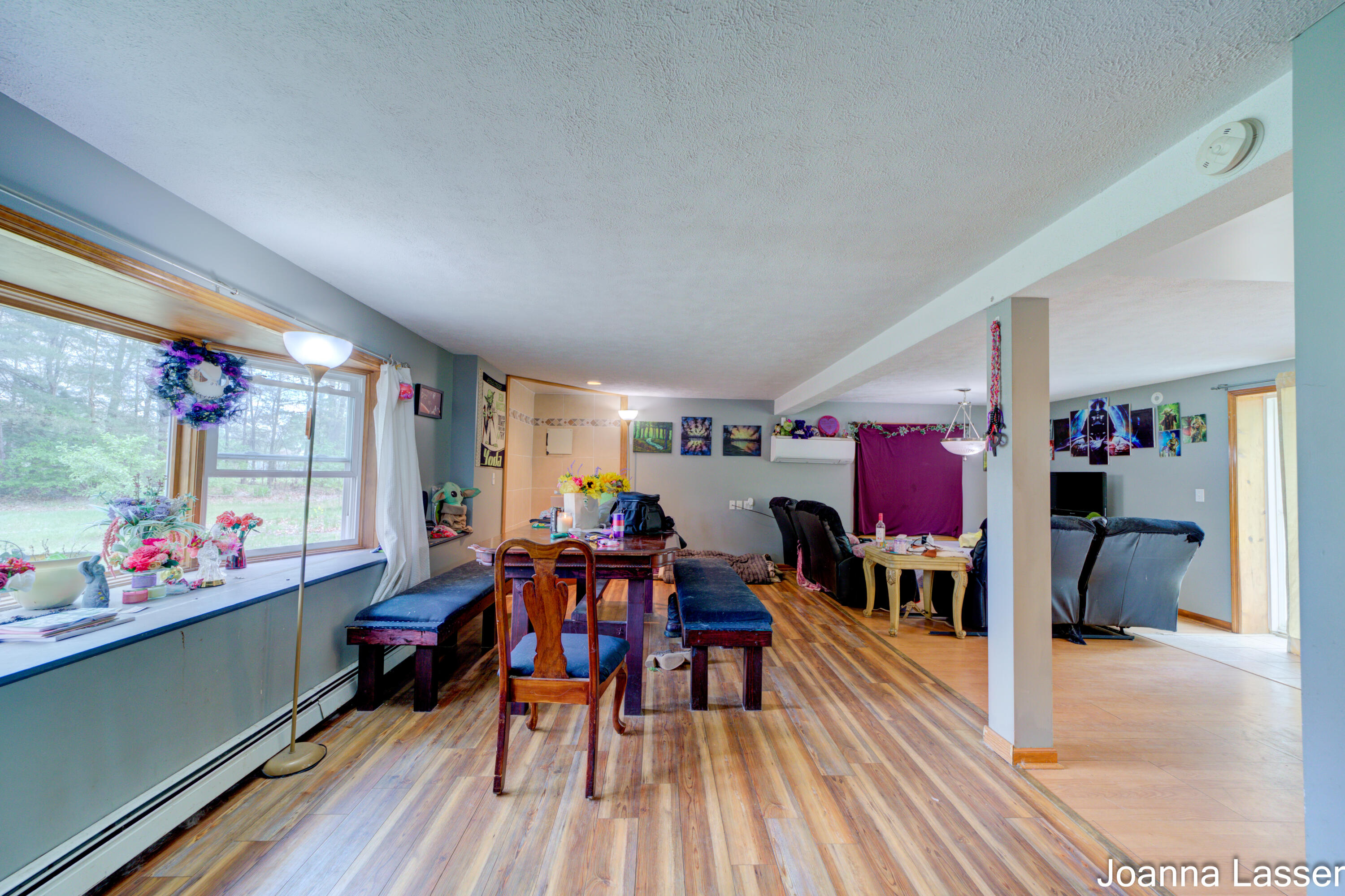739 S Wolf Lake Road