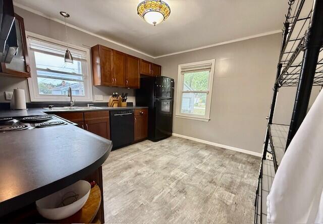1377 Princeton Road