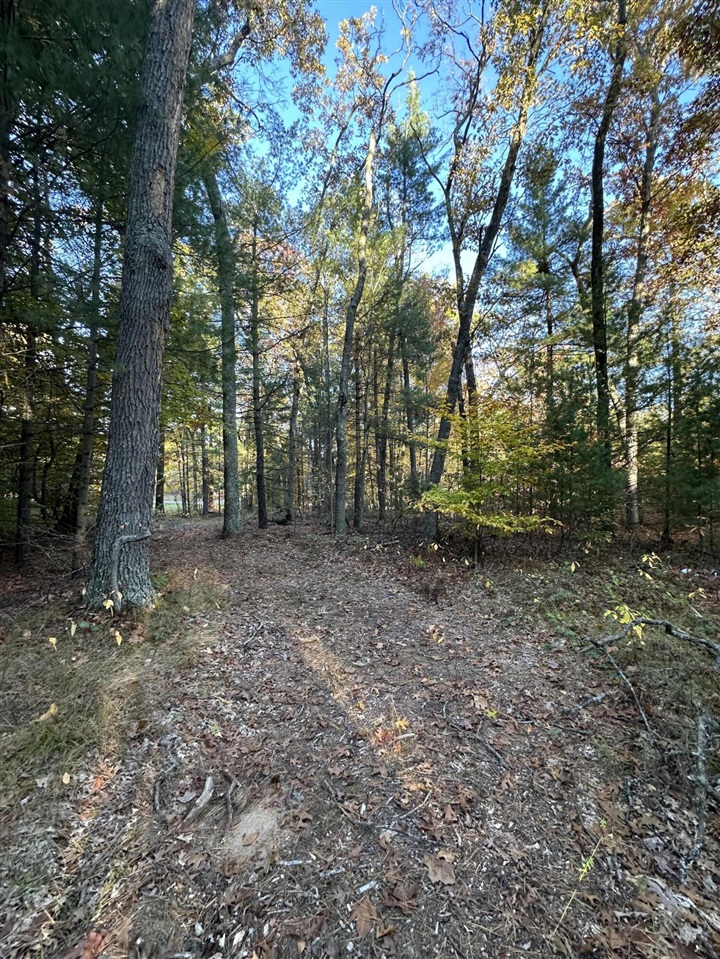 6043 Holton-Duck Lake Road