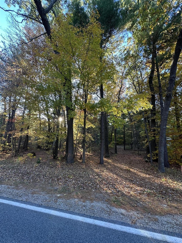 6043 Holton-Duck Lake Road