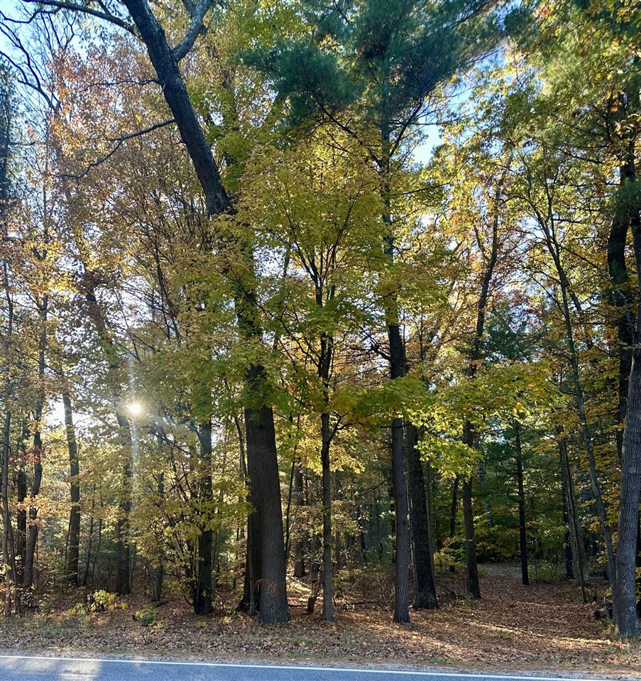 6043 Holton-Duck Lake Road