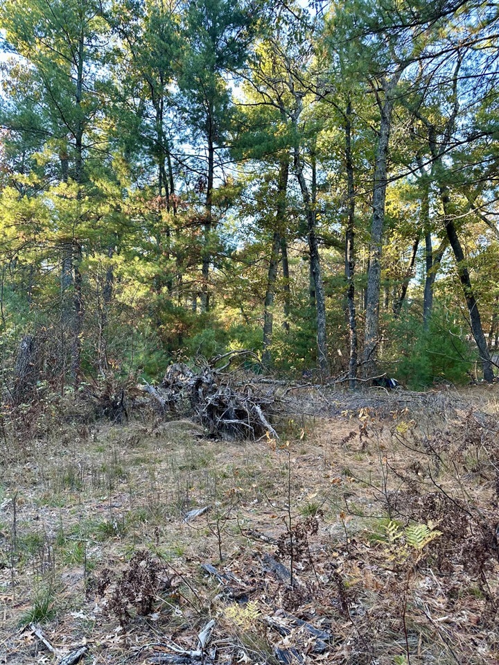 6043 Holton-Duck Lake Road