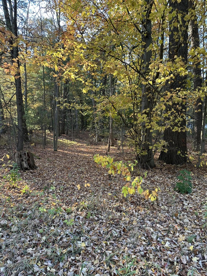 6043 Holton-Duck Lake Road