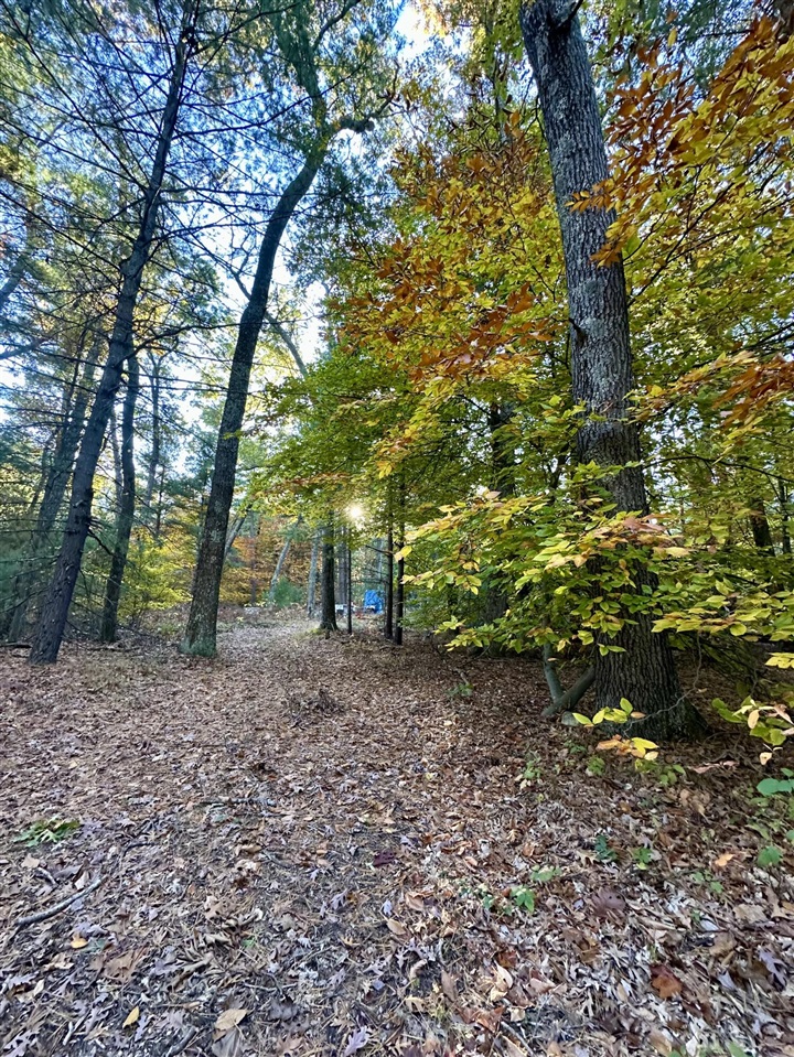 6043 Holton-Duck Lake Road