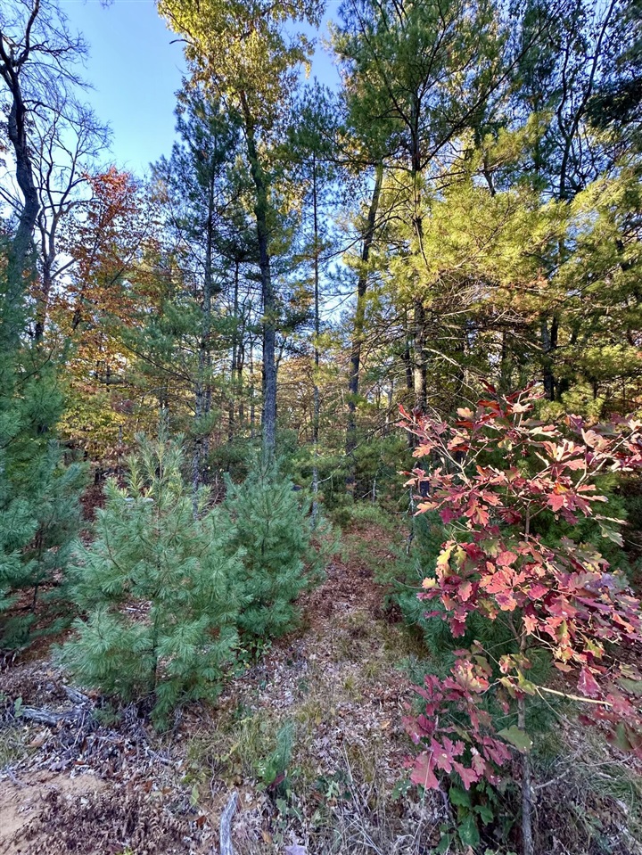 6043 Holton-Duck Lake Road
