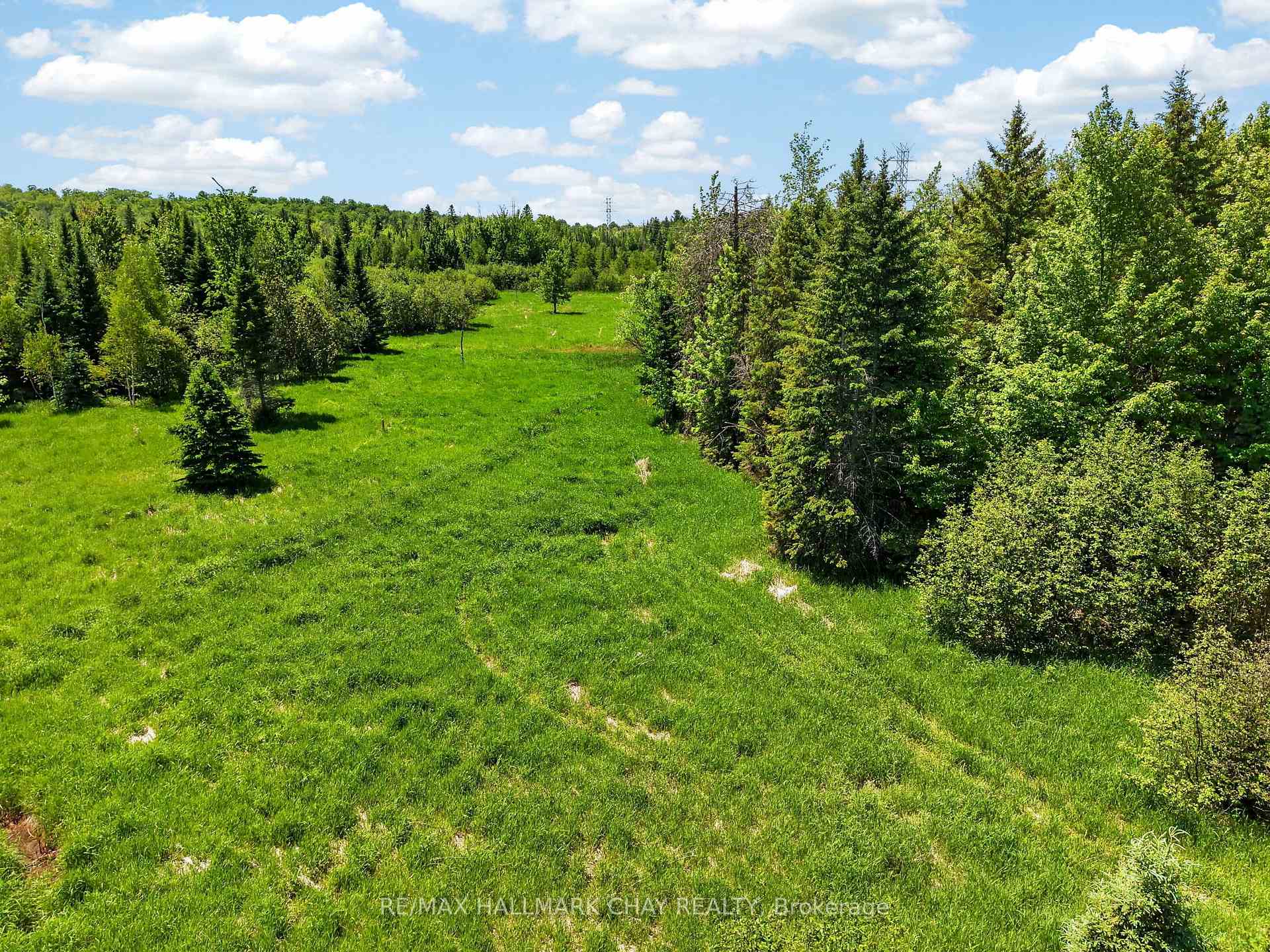 Grassy clearing bordered by dense woodland on a rural property.