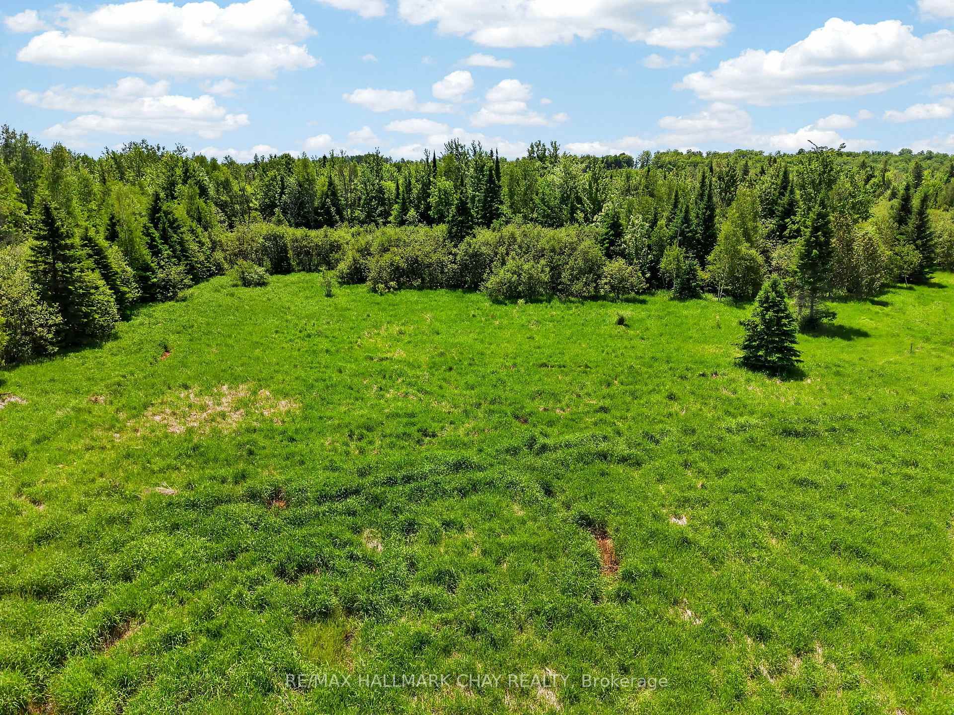 Aerial view of a grassy clearing surrounded by dense trees.