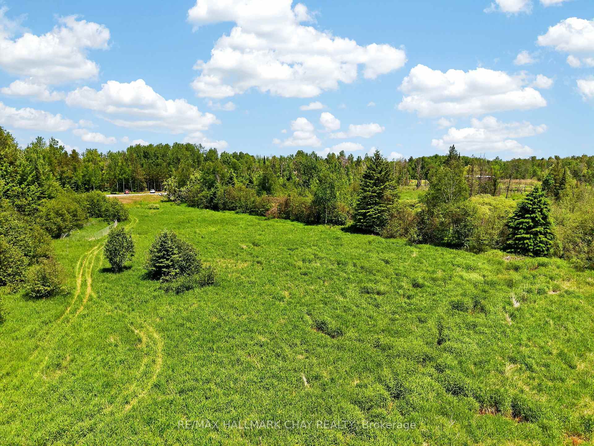 Aerial view of a grassy property bordered by trees, with curving tire tracks.