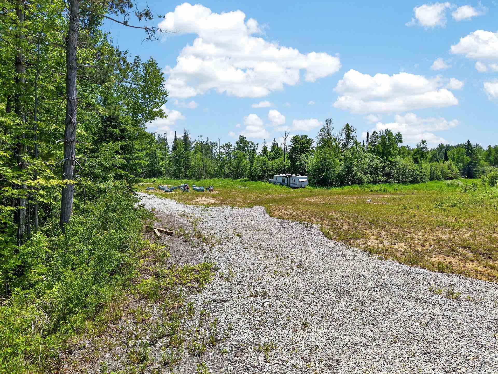 Gravel drive through a wooded clearing, with a camper near the tree line.