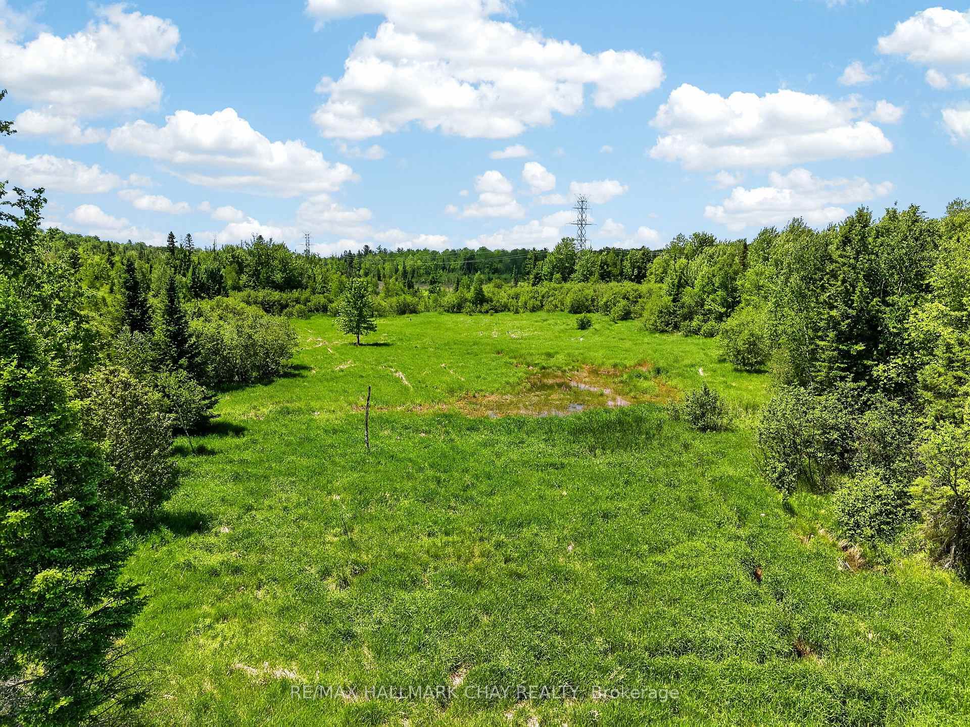 Grassy rural lot bordered by trees, with a small wet area and transmission tower in the distance.