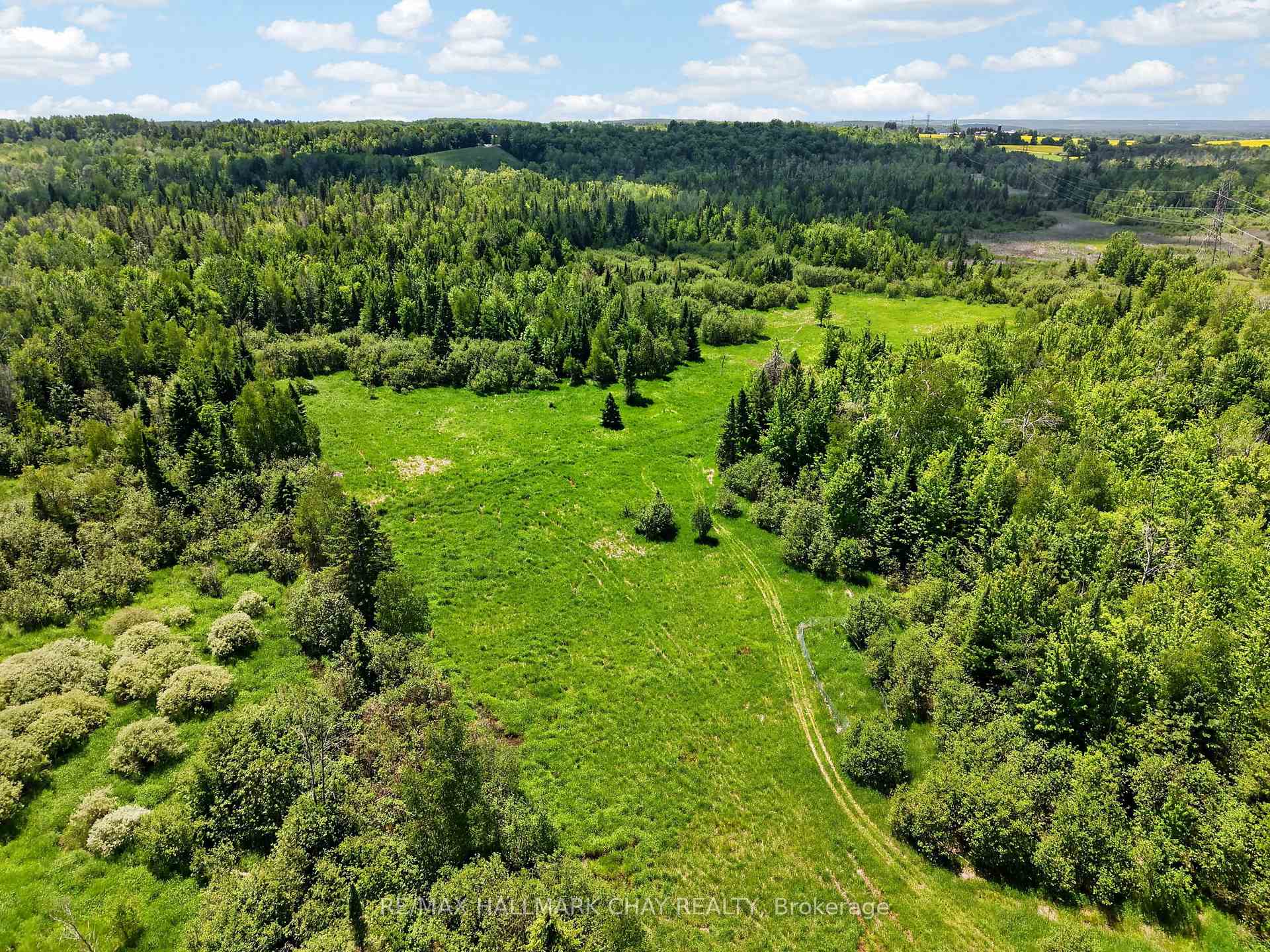 Aerial view of a grassy clearing amid dense woodland, crossed by a dirt track.