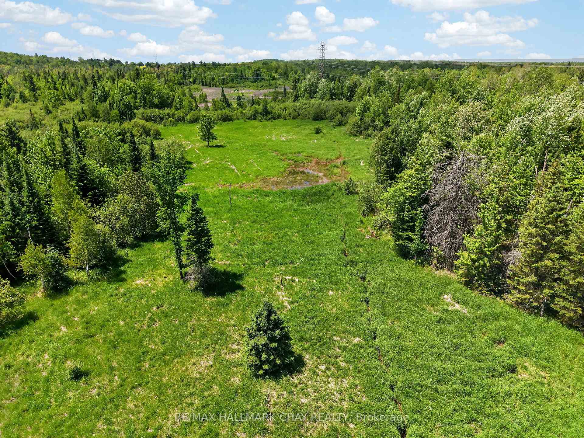 Aerial view of a grassy clearing bordered by dense woodland and scattered trees.
