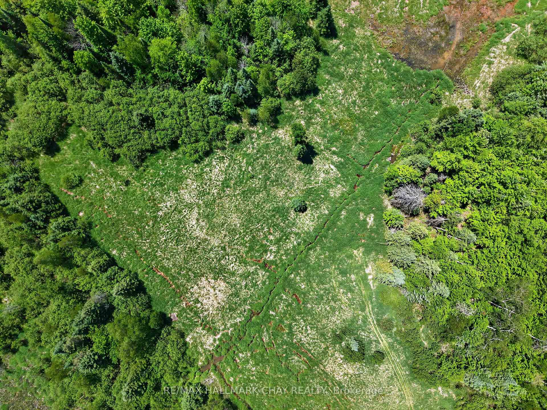 Aerial view of a grassy field surrounded by dense trees, with a narrow track crossing the property.