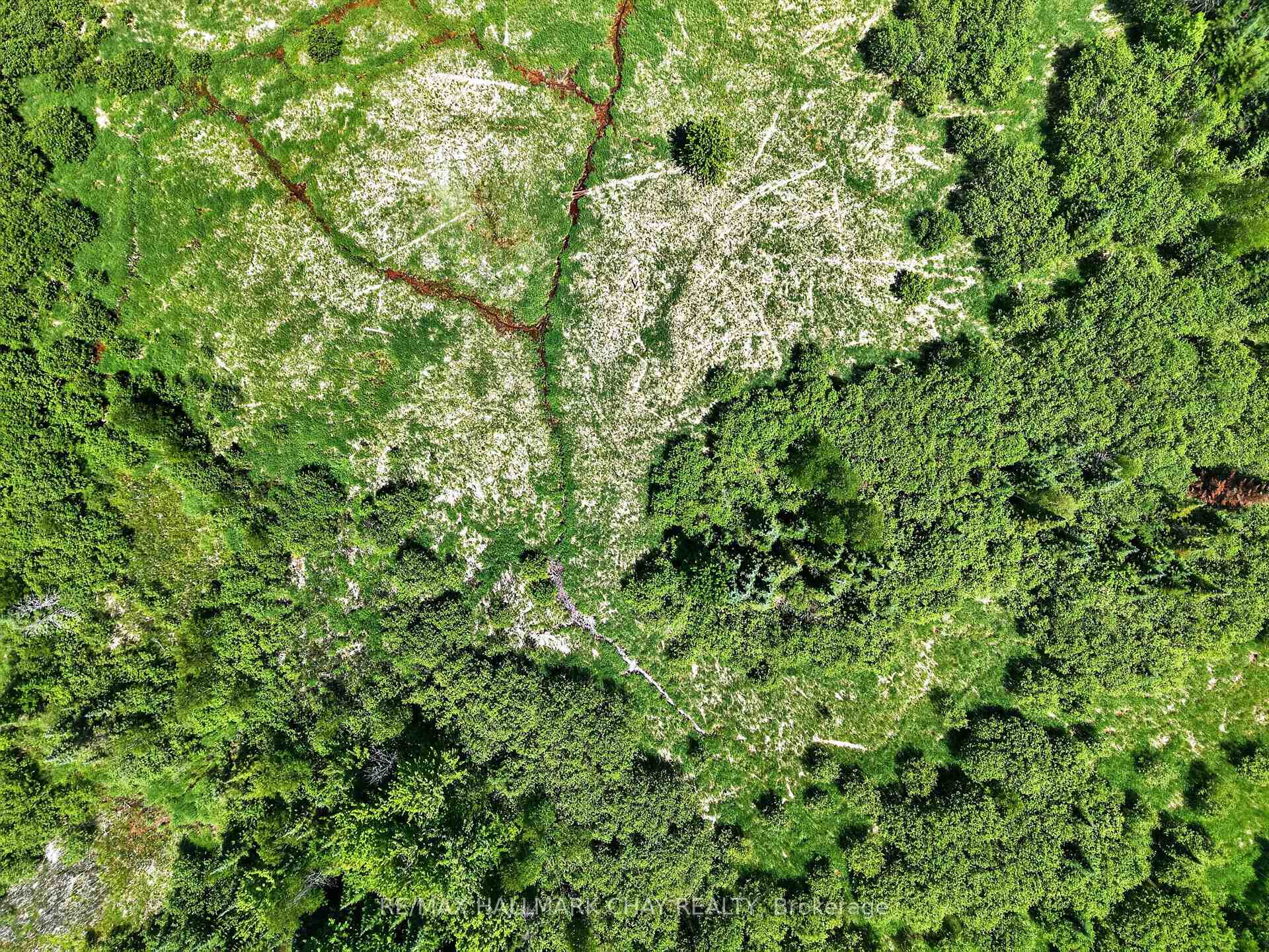 Aerial view of a grassy clearing surrounded by dense woodland, with a narrow winding drainage line.