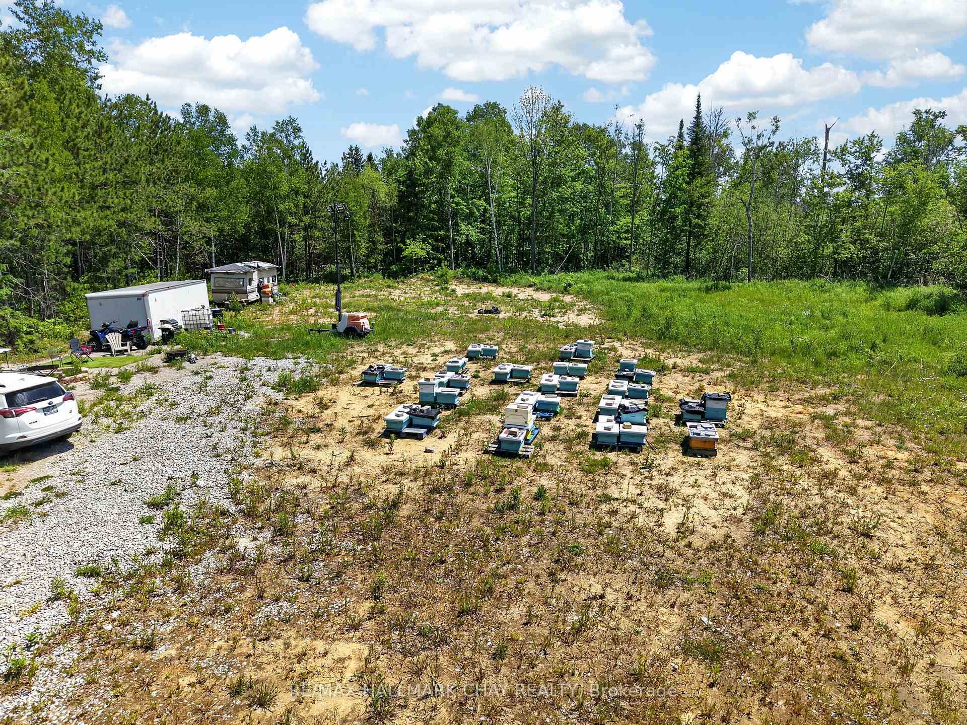Rural clearing with rows of beehive boxes, trailers, and woodland around the property.