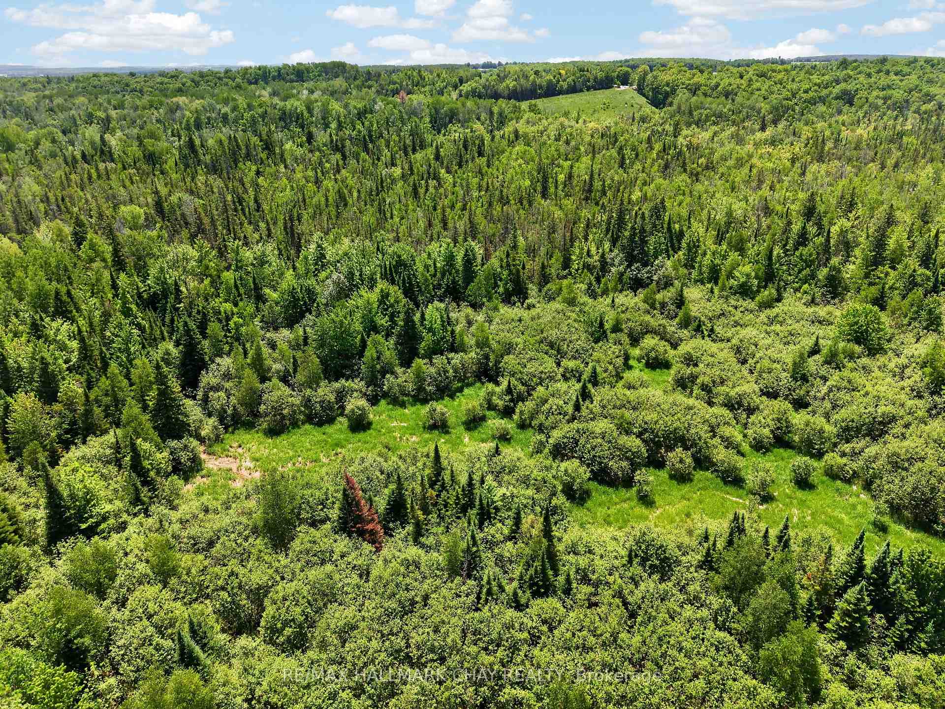 Aerial view of wooded land with a grassy clearing surrounded by dense forest.