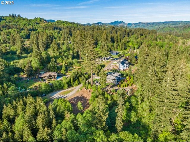 00 Thompson DR Lot #3