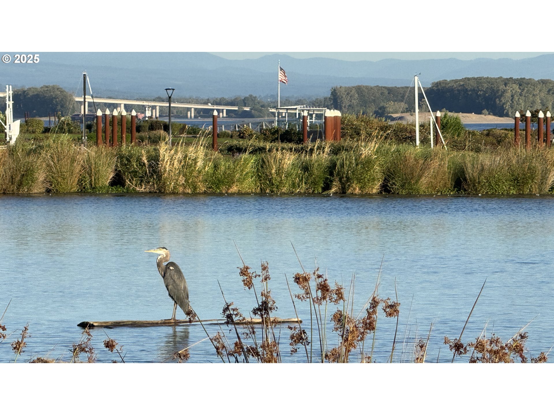 5433 SE SCENIC LN 100