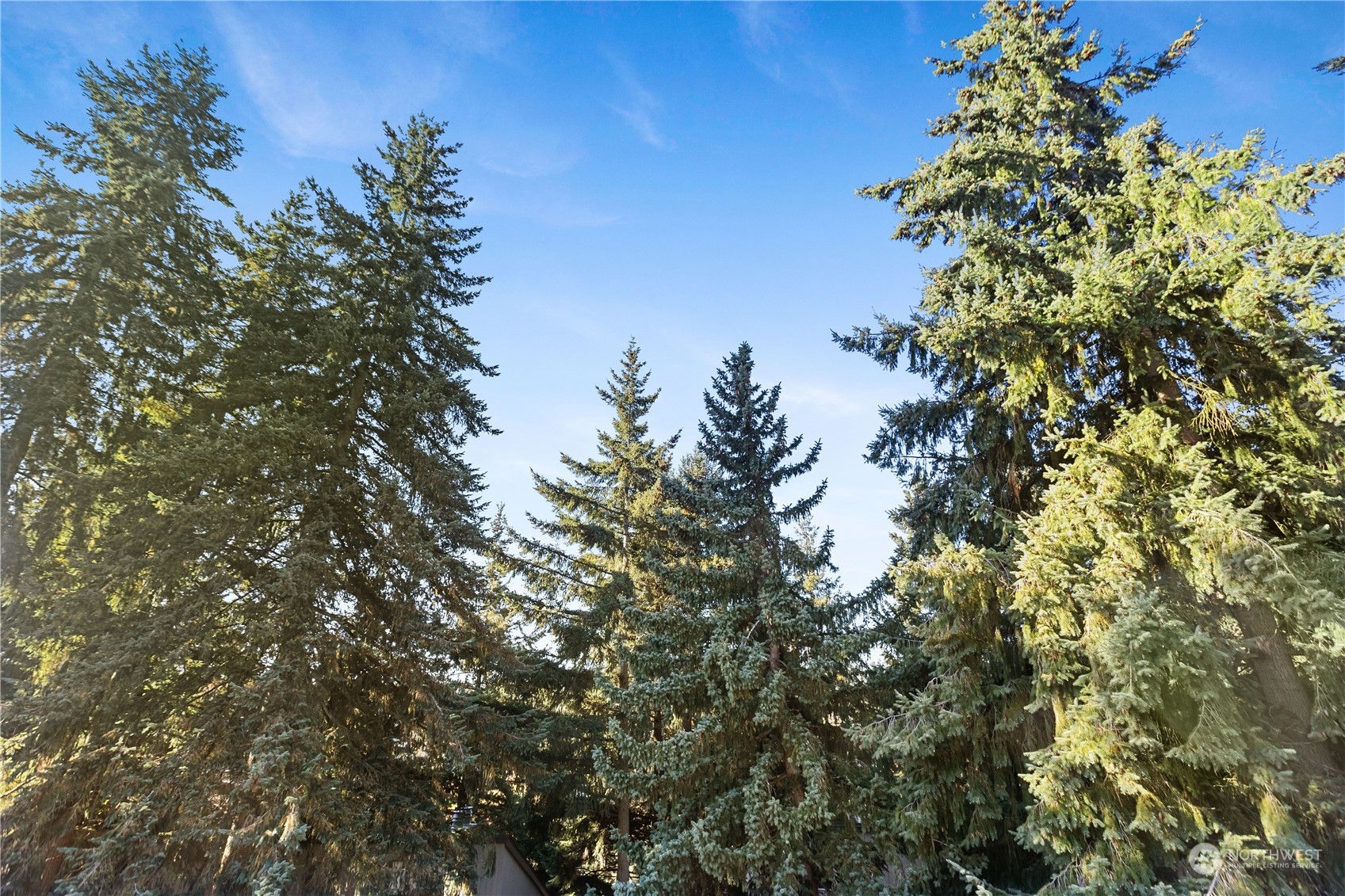 3518 109th Place NE #331