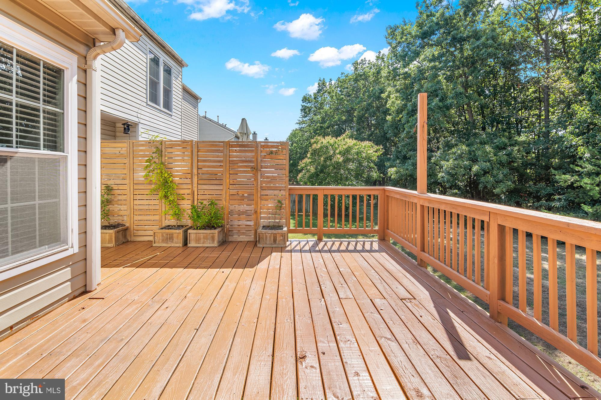 738 PINE DRIFT DRIVE