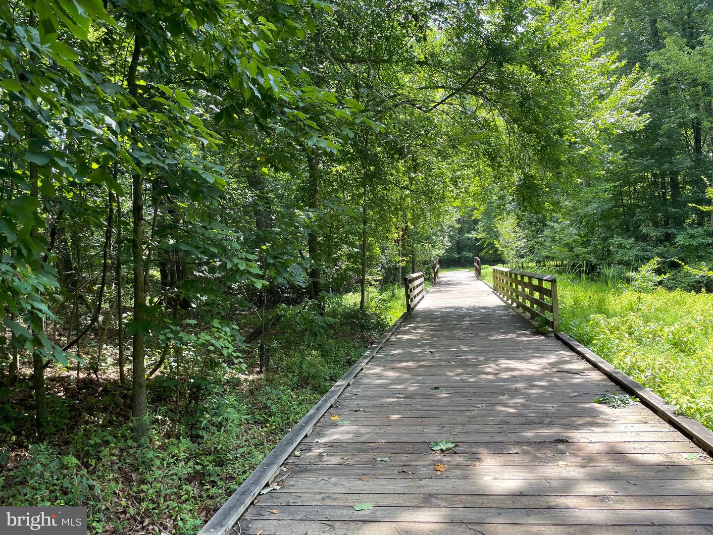 13019 Saint Clair Rd