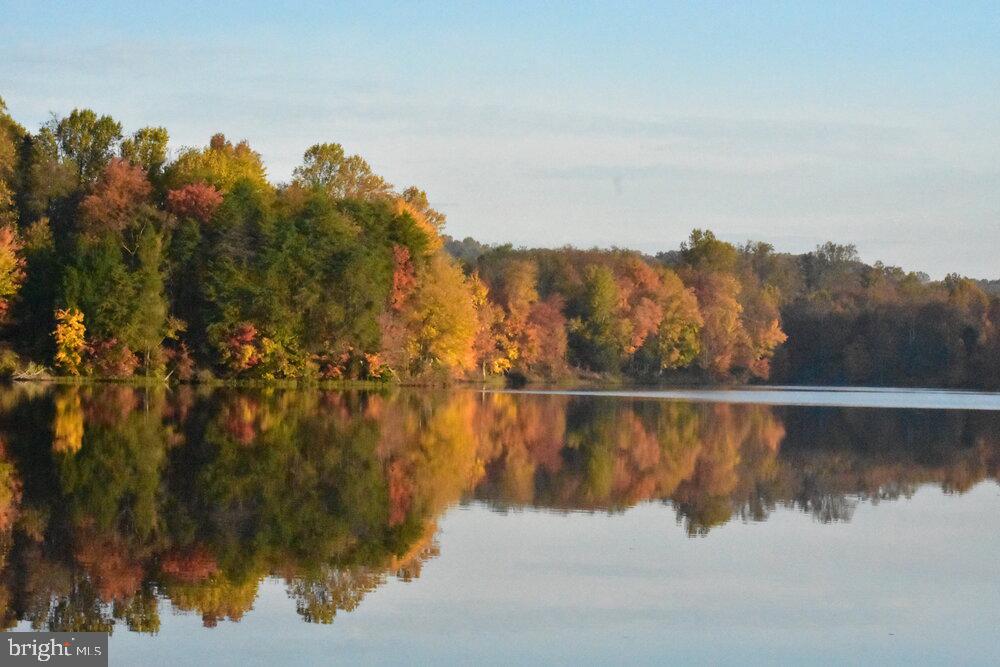 13019 Saint Clair Rd