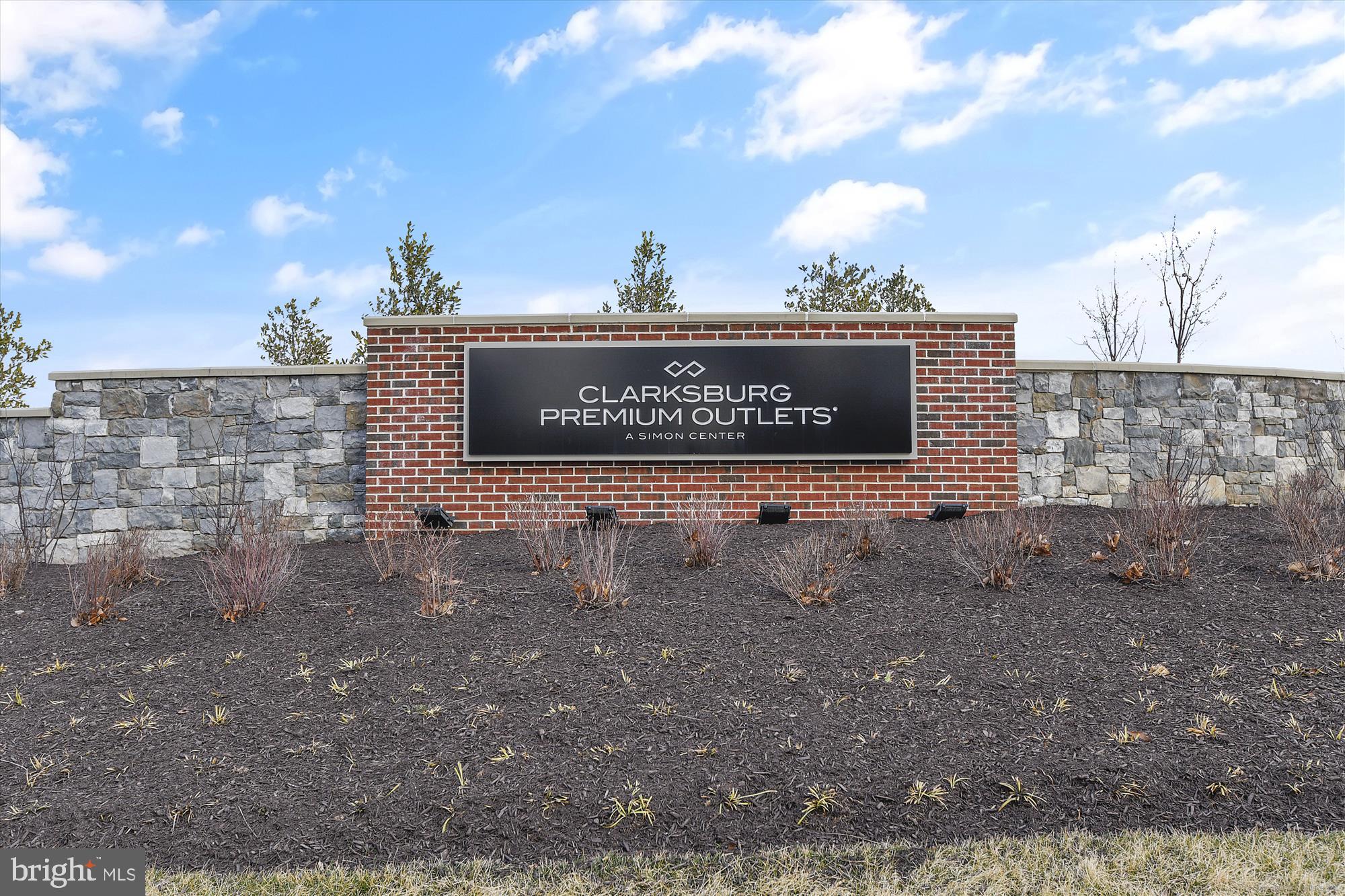 12832 Clarksburg Square Rd #306