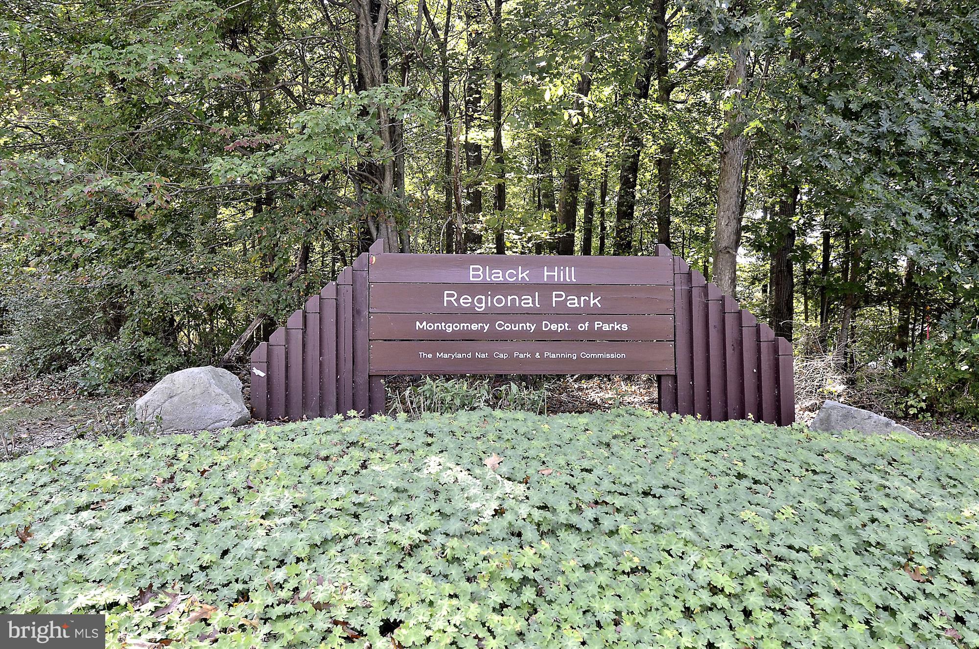 12832 Clarksburg Square Rd #306