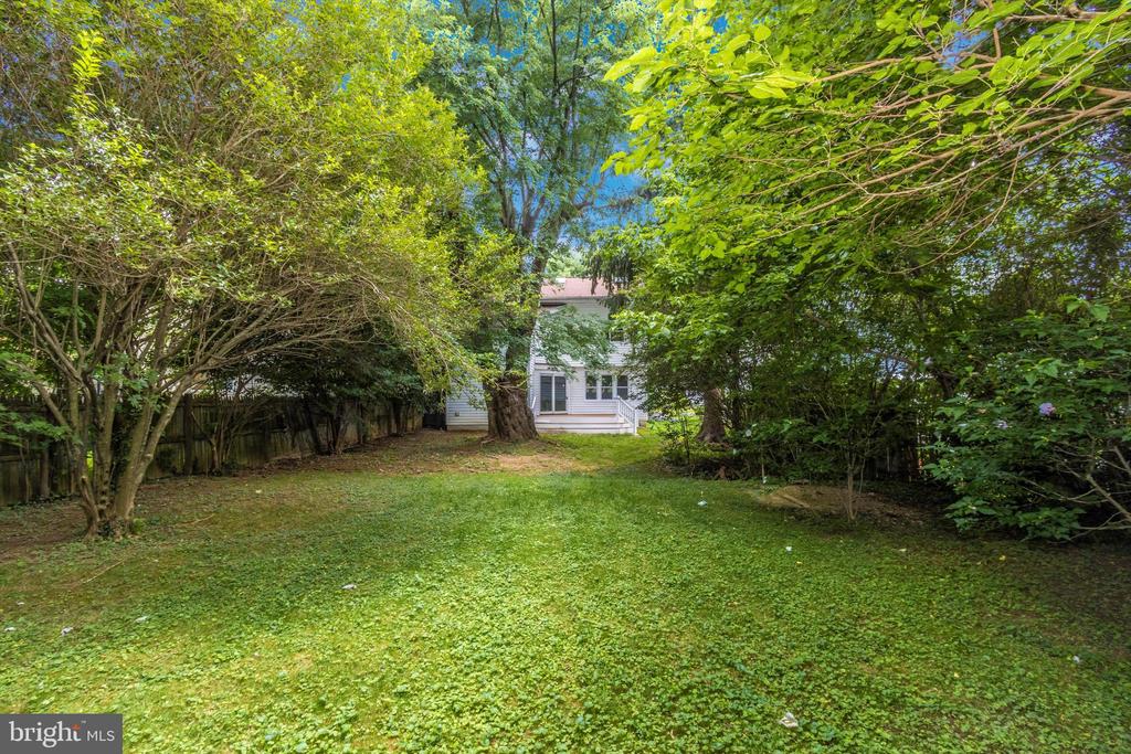 11 Mills Rd