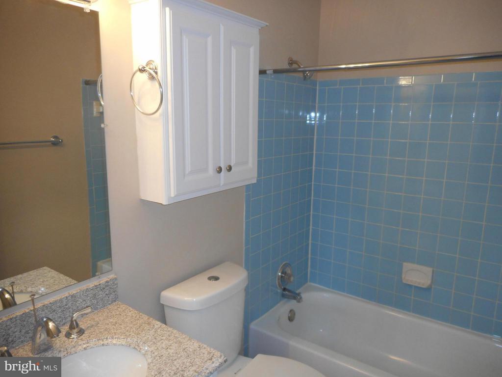3825 TREMAYNE TER