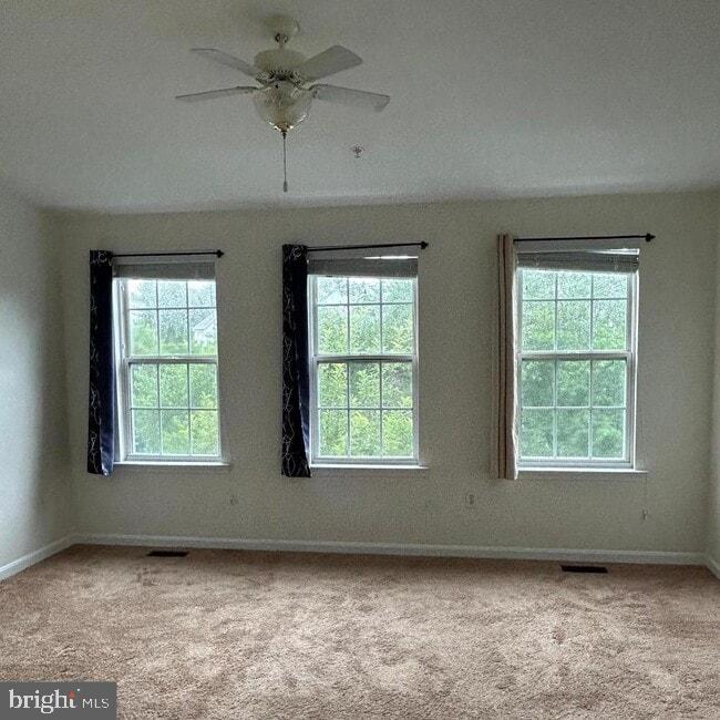 25 CRUSADER CT