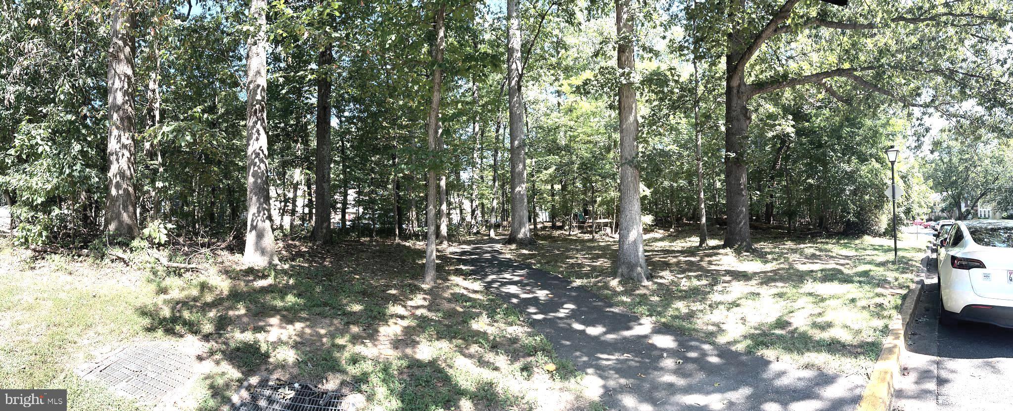 11516 SUMMER OAK DRIVE