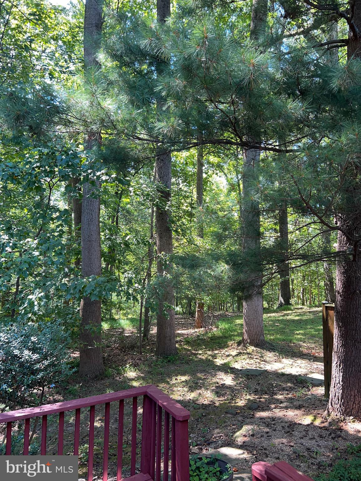 11516 SUMMER OAK DRIVE