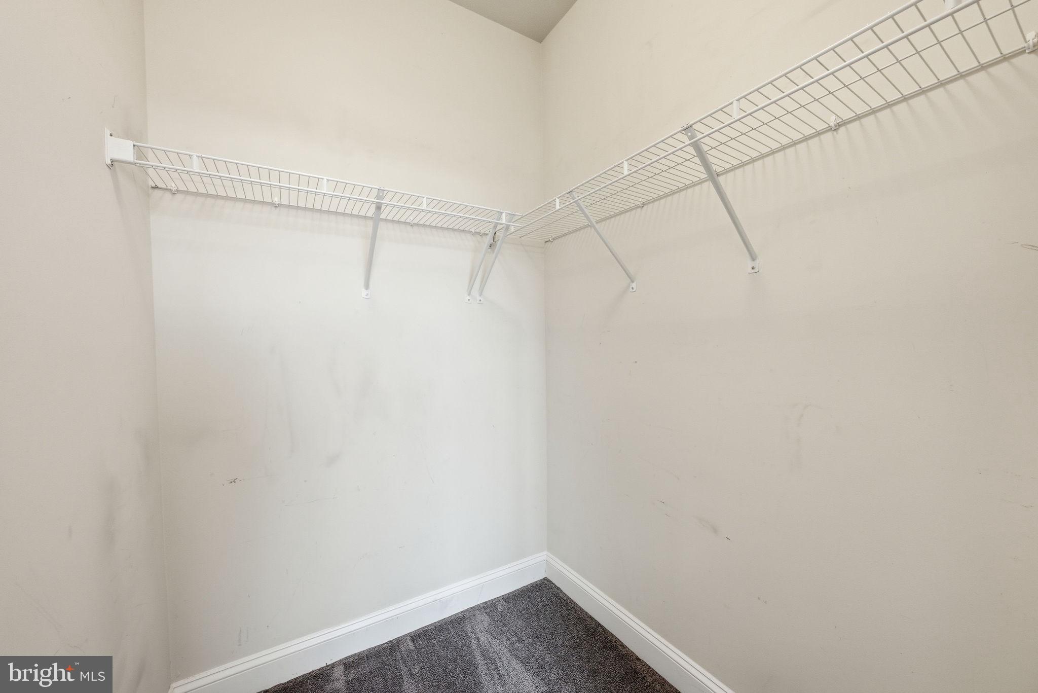 3911 DOC BERLIN DRIVE 34