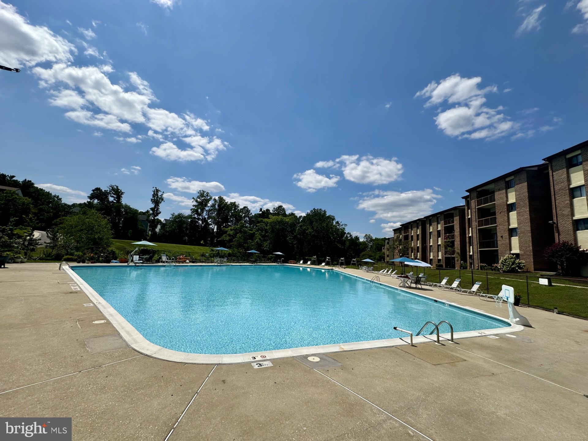 15702 DORSET ROAD 135