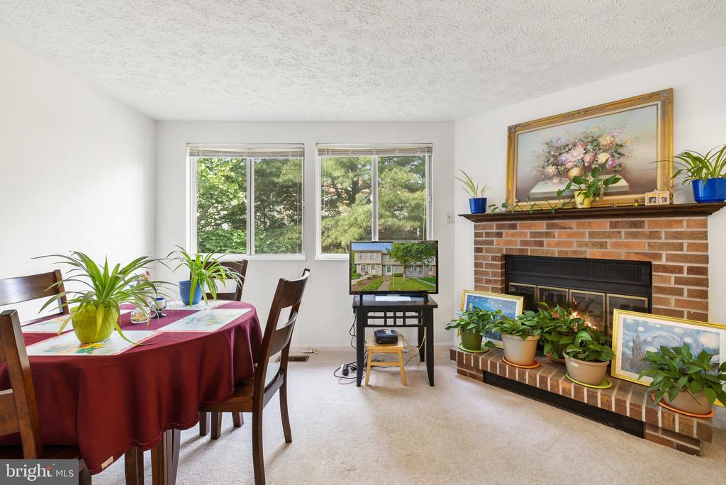 3766 Sudley Ford Ct
