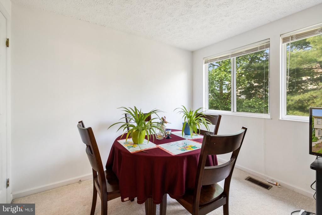3766 Sudley Ford Ct