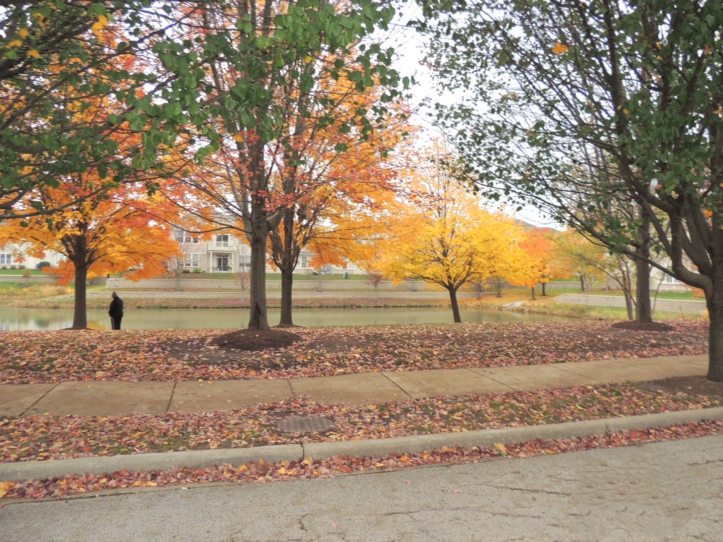 1878 Havenshire Road