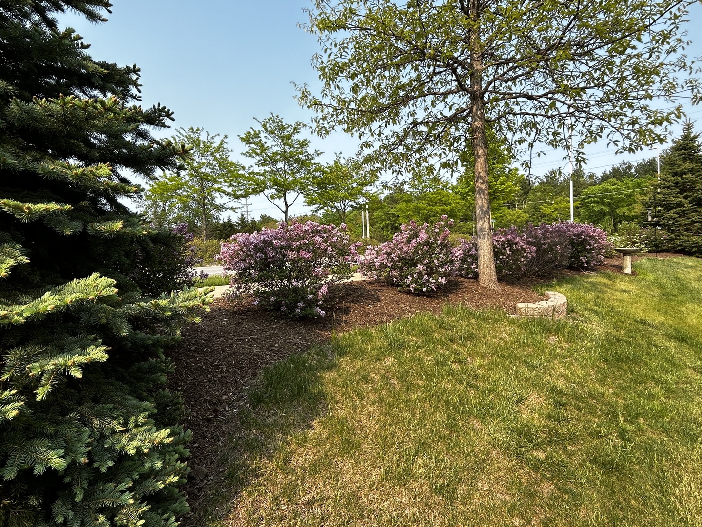 27W152 Breme Drive E