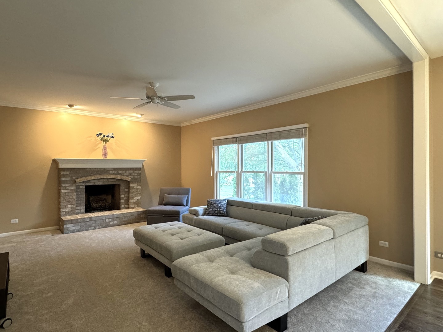 3828 Caine Court