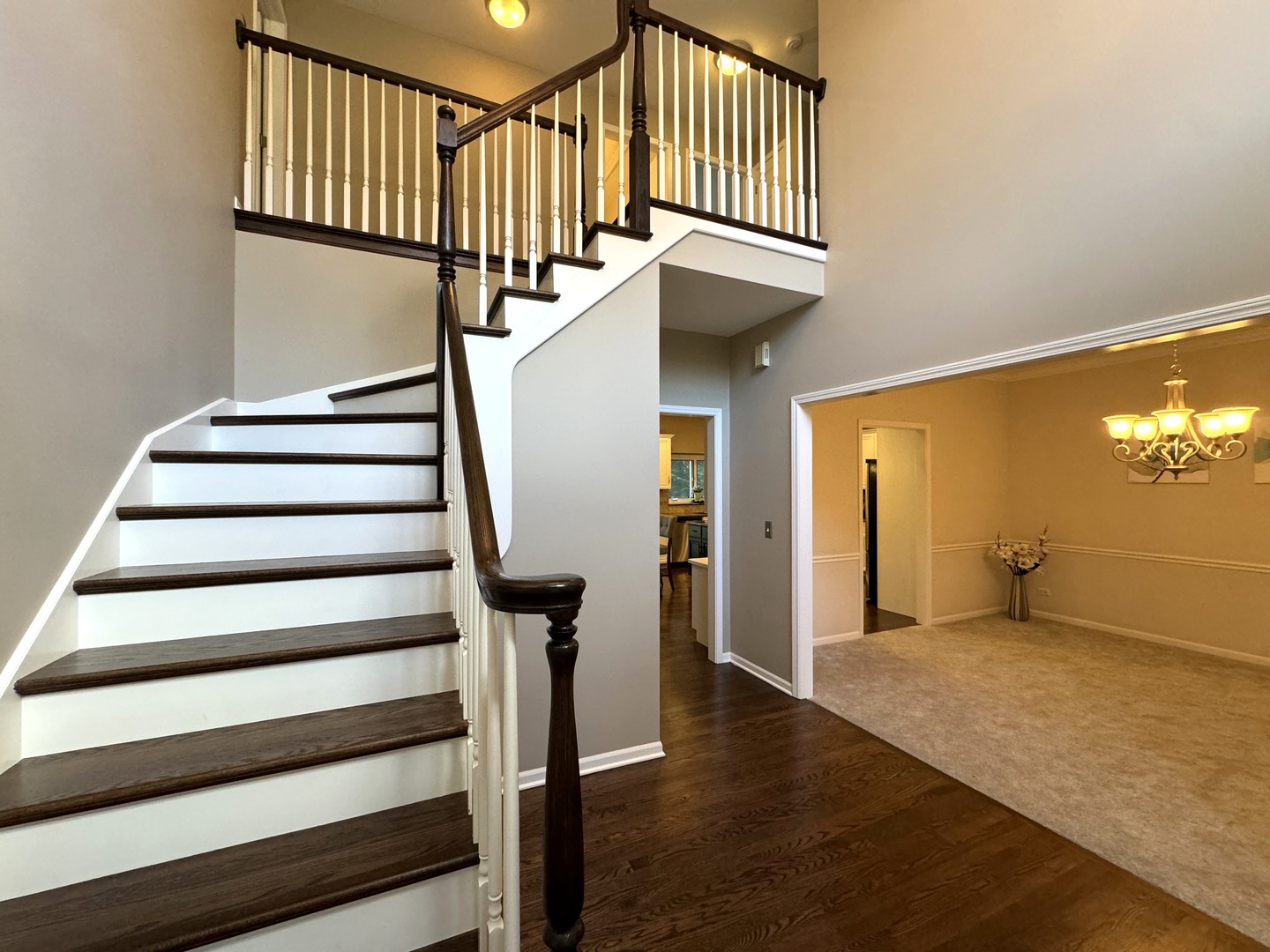 3828 Caine Court