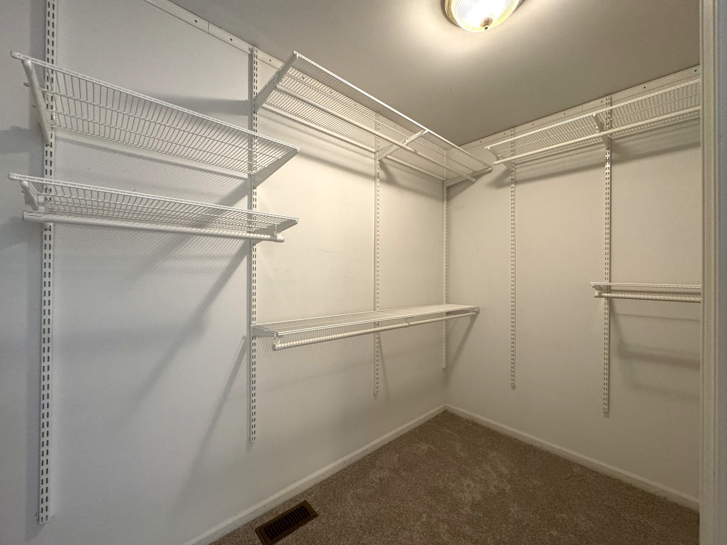 3828 Caine Court