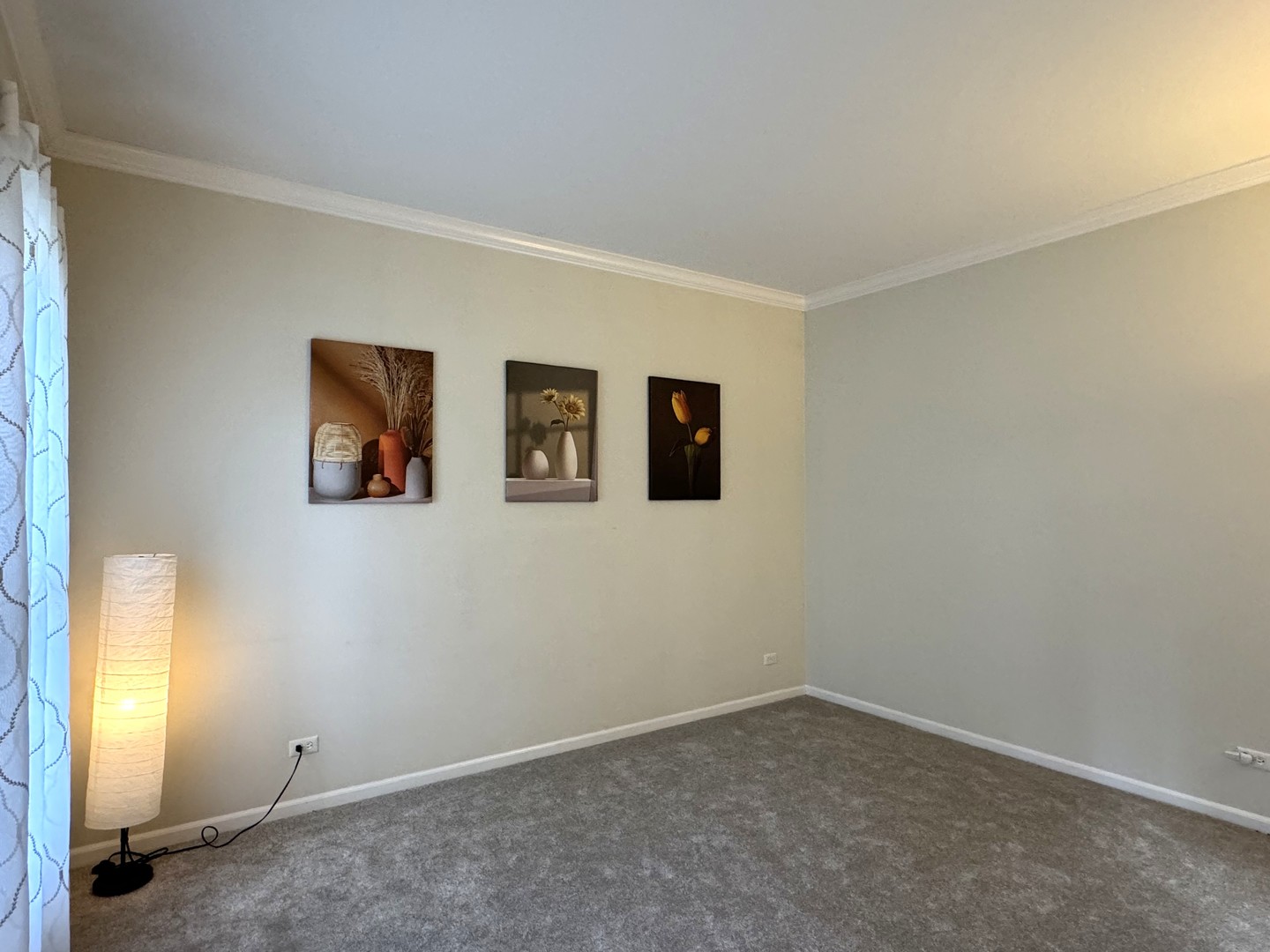 3828 Caine Court