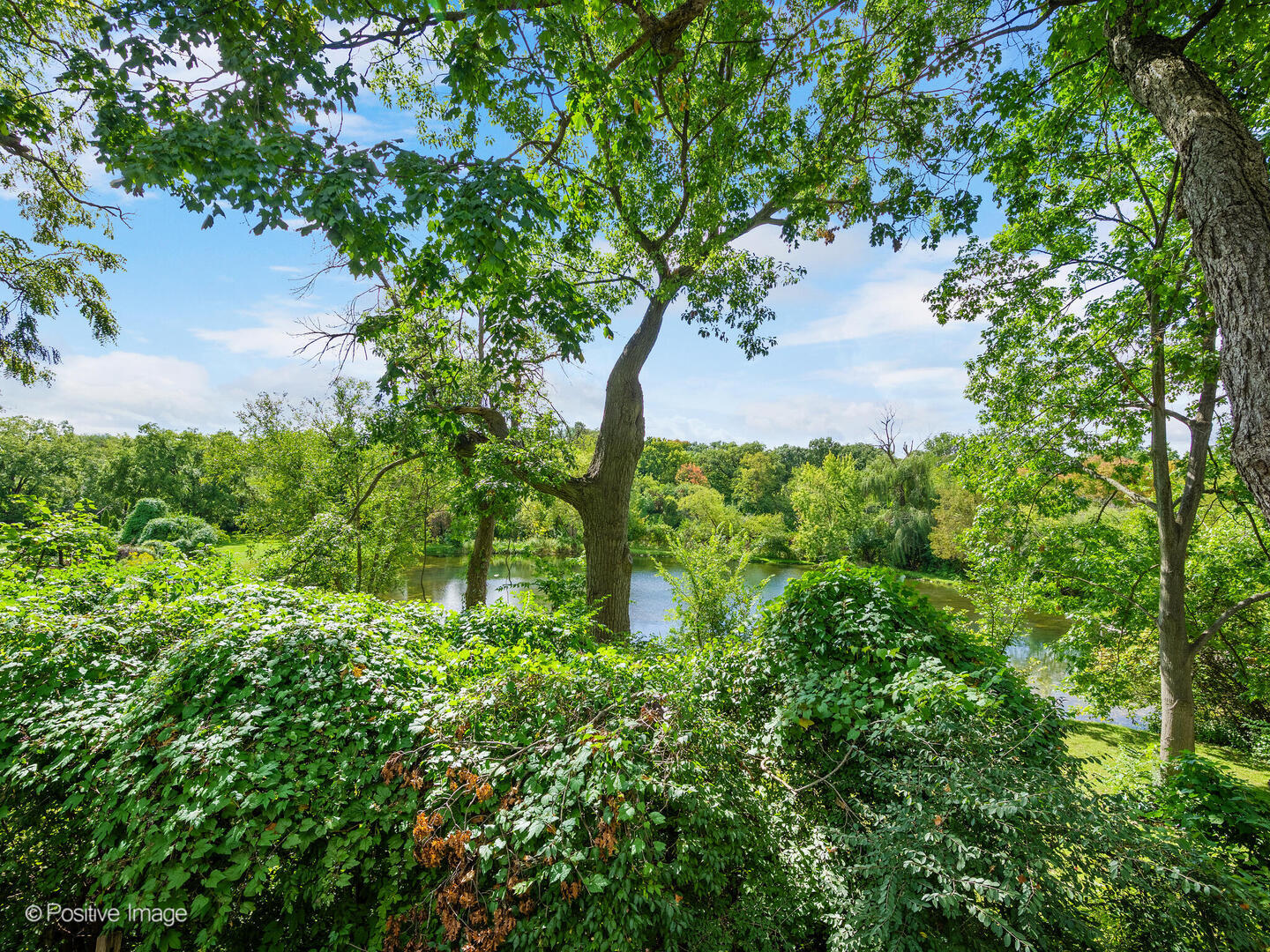 959 Watercress Drive