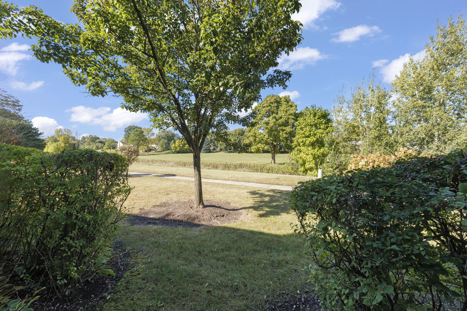 2163 Lancaster Circle Unit: 101A