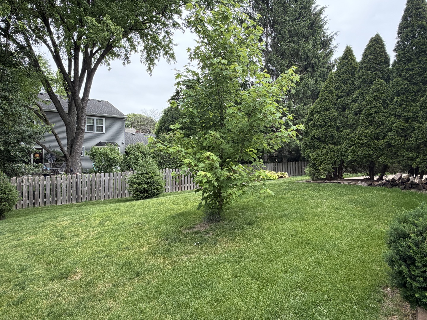 1159 Peachtree Court